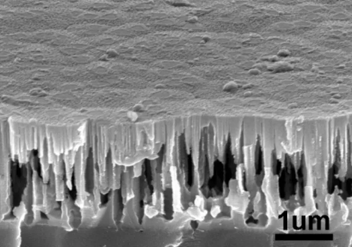 FIG. 5. SEM image of the sample etched by two-step process. The sample has porous GaN caves, and the top surface is smooth