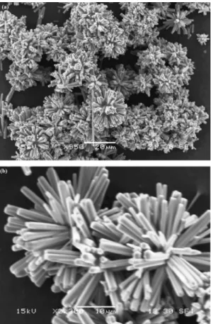 Fig. 4. SEM images of 3D ﬂowerlike ZnO microstructures synthesized with reaction time of 8 h (a) low magniﬁcation and (b) high magniﬁcation.
