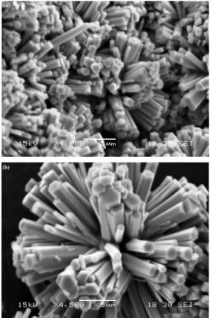 Fig. 6. SEM images of 3D ﬂowerlike ZnO microstructures synthesized with reaction time of 24 h (a) low magniﬁcation and (b) high magniﬁcation.