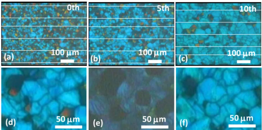 Fig.  1.  The  observed  morphologies  of  PSBP-LC  samples  at  28  °C  when  the  samples  were  photo-polymerized at the (a) 0th, (b) 5 t h and (c) 10th thermal recycle