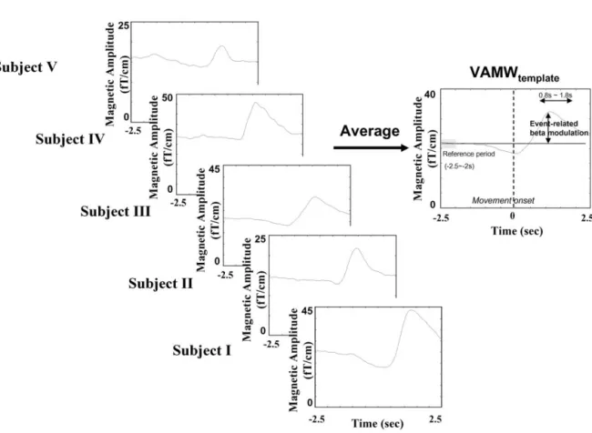 Fig. 2. Creation of common temporal and spatial templates. (a) The common temporal template, VAMW template , is created by averaging VAMWs (500 trials, 100 trials for each subject, 5 subjects pooled)