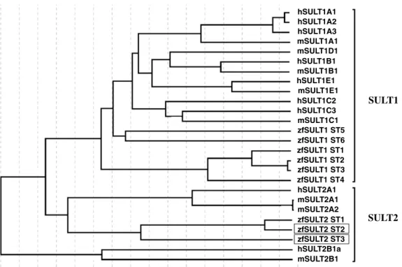 Table 2 . Among the compounds we tested, the zebraWsh