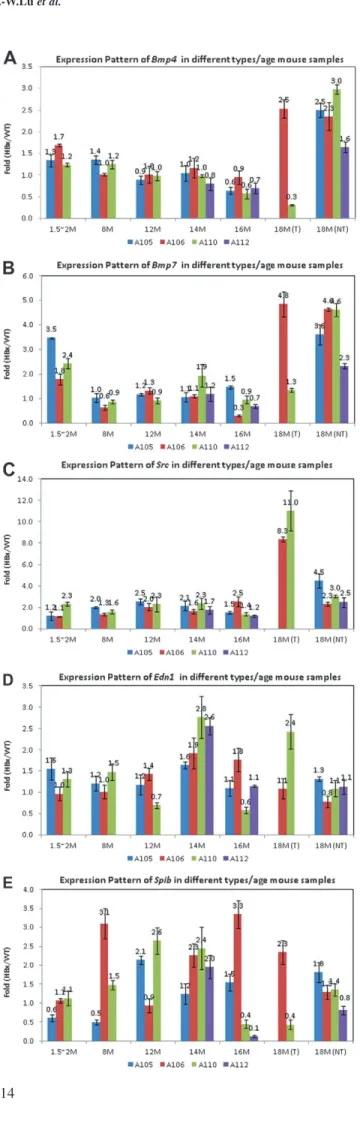 Fig. 3. Bmp4, Bmp7, Src, Edn1 and Spib expression in four different transgenic mice. The expression levels of the common regulators from early to later for four lines were showed (blue for A105, red for A106, green for A110 and purple for A112)
