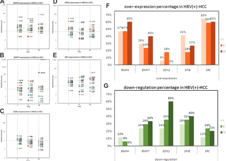 Fig. 4. BMP4, BMP7, EDN1, SPIB and SRC RNA expression in human HBV (þ)–HCC samples. Messenger RNA expression of five common regulators in stages I, II and III was determined by Q-PCR