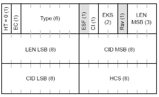 圖  2-8 MAC signaling header type I format 
