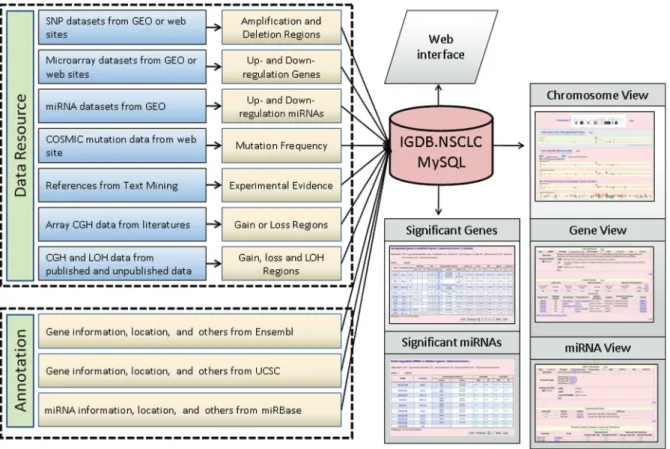 Figure 2. The graphic integration of CNAs with altered expression genes in lung AD and SCC