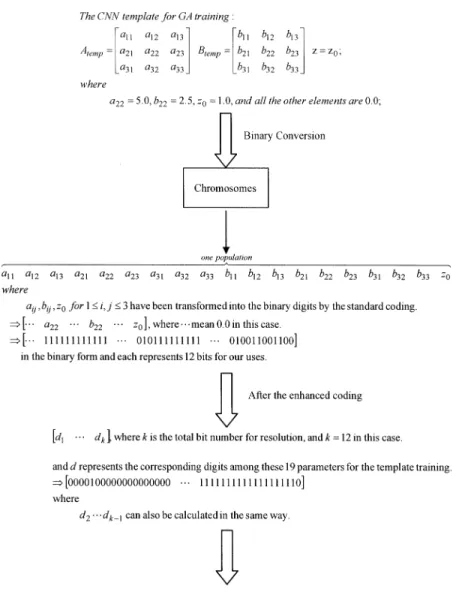 Fig. 8. Encoding process of chromosomes in the GA-CNN training phase.