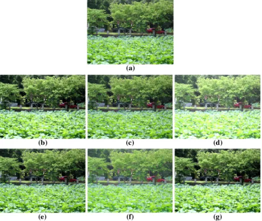 Fig. 12 Comparison of different enhancement approaches on a normal image. (a) Original image; (b) HE-enhanced image; (c) Picasa software — enhanced image; (d) EC-enhanced image; (e) LCC-enhanced image; (f) SC-enhanced image; and (g) JND-HE —enhanced image.