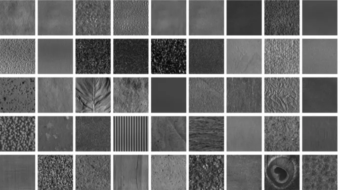 Fig. 5 Some examples of Image Set 2