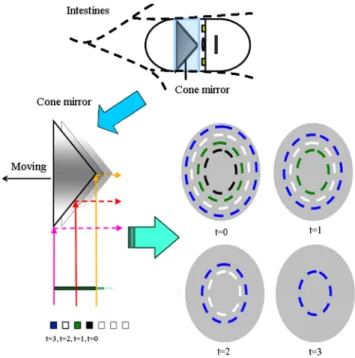 Fig. 1 The images have overlapping regions in the RICE system.
