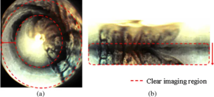 Fig. 7 The warped images (captured by RICE) and unwrapped images.