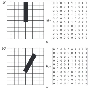 Fig. 1 Examples of images of rod of inverted pendulum