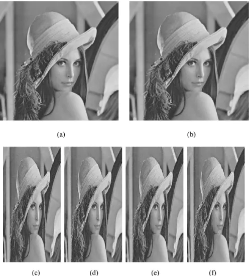 Fig. 2. Implementation of the proposed method. (a) A 512 2 512 input image. (b) Image recovered from “any” two of the images in (c)–(f)