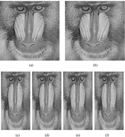 Fig. 4. Similar to Fig. 2, except that Lena is replaced by Monkey. (a) A 512 2 512 input image