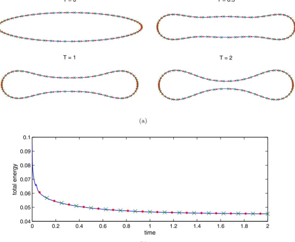 Fig. 2. (a) A freely suspended vesicle with three different stiffness numbers: σ 0 = 2 × 10 3 (‘–’), σ 0 = 2 × 10 4 (‘ × ’), and σ 0 = 2 × 10 5 (‘ · ’)