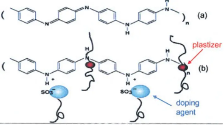 Figure 1 Polyaniline molecule: (a) polyaniline (emeraldine base and insulating form); (b) doped polyaniline (conductive form)