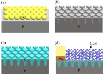 Fig. 1. The schematic fabrication flow for c-Si nanopillar arrays (NPA) solar cell with CdS quantum dots (QDs)  layers: (a) spin-cast of nearly-close-packed polystyrene nanospheres monolayer, (b) resulting NPA after dry  etching, (c) diffusion of an N-type