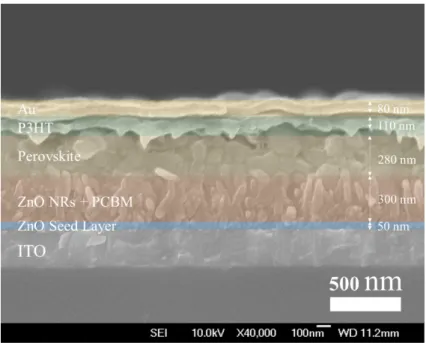 Fig. 10. Cross-section SEM image of the best device based on (MA) y (GA) 1-y PbI 3  on 2% Ni- Ni-doped ZnO nanorod arrays