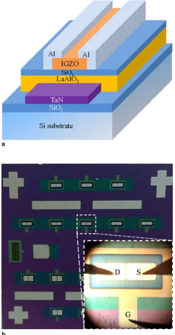 Fig. 1 (a) Schematic structure and (b) photograph of the IGZO TFT with device micrograph in the inset