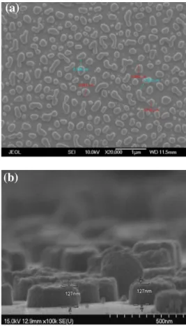 Fig. 2. (Color online) SEM images of NCPSS: (a) surface image; (b) cross-sectional image.