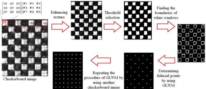 Fig. 2. (Color online) Fiducial points identifying with GLWM.