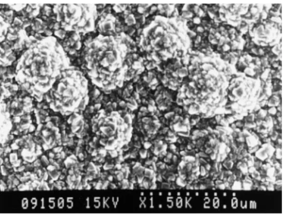 Figure 5. Typical morphology of diamond films deposited by the conventional process.