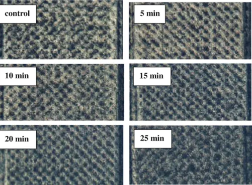 Fig. 2. Optical micrograph images of SPCE, with magniﬁcation of 50×, before (control) and after 5, 10, 15, 20, and 25 min, respectively, oxygen plasma treatment.