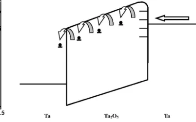 Figure 6. The ln 共J兲 vs E 1/2 plots for various Ta/Ta