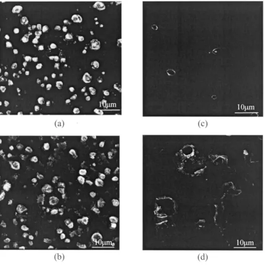 Fig. 5. SEM micrographs of CoSi after removal of the Cu and TaN films from the Cu–TaN –CoSi –Si samples