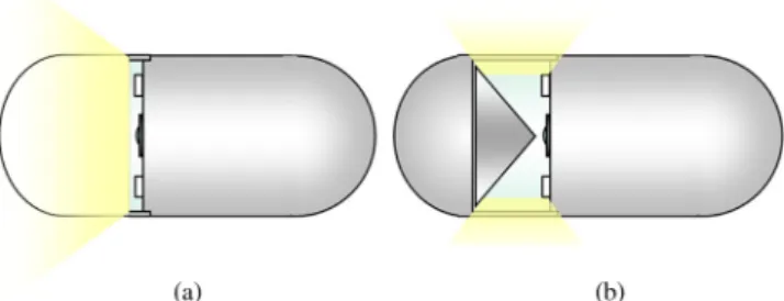 Fig. 1 Illumination methods between (a) FICE and (b) RICE.