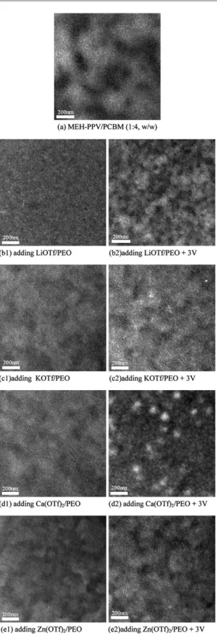 Fig. 3 TEM images of the MEH-PPV/PCBM and MEH-PPV/PCBM films incorporating LiOTf, KOTf, Ca(OTf) 2 , and Zn(OTf) 2 /PEO
