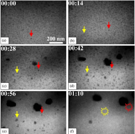 Fig. 2 . The liquid Au–Si alloy droplets are expected to form on the surface of Si substrate at a temperature above the eutectic temperature of the Au–Si (363 8C)