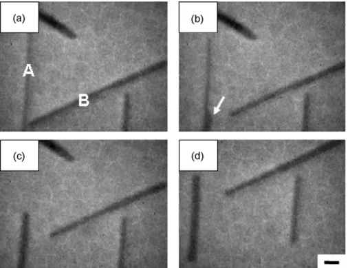 Fig. 7. In situ TEM images of the interactions of titanium silicide nanowires at 700 8C