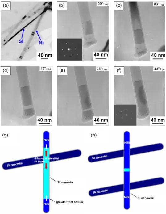 Fig. 8 shows as one TiSi 2 nanowire continued to grow and
