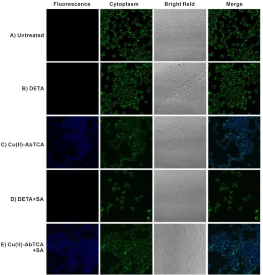 Figure  3.  Confocal  microscopy  images  of  HNO  in  live  RAW  264.7  cells  as  detected  using  Cu(II)- Cu(II)-AbTCA  (20  µ M)
