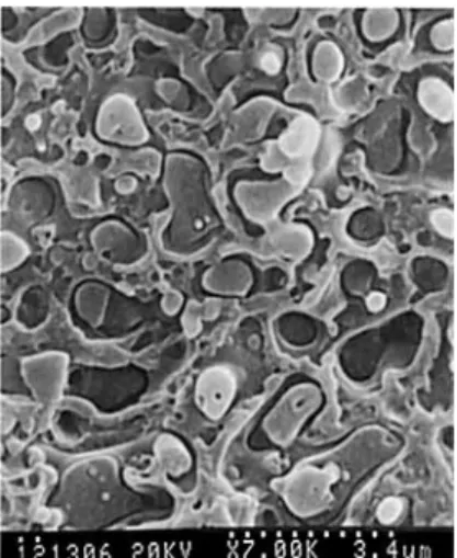 Figure  3  SEM  micrographs of the fracture surfaces of  various  Phen/ ABS 75  /  25 blends:  (A) Phen/ABS  =  75/25;  ( B )   Phen/ABS/SAG  =  75/25/5;  ( C )  Phen/ABS/SAG/Cat 