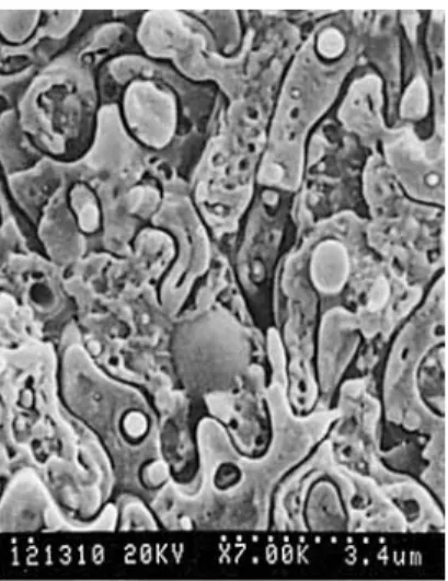 Figure  4  SEM  micrographs of the fracture surfaces of various Phen/ABS  5 0 / 5 0   blends:  ( A )  Phen/ABS  =  50/50;  ( B )  Phen/ABS/SAG  =  5 0 / 5 0 / 5 ;   ( C )  Phen/ABS/SAG/Cat  =  5 0 / 5 0 / 5 / 0 
