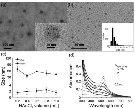 Figure 1. a) A TEM image of Au-SNPs@GA negatively stained with uranyl acetate (inset, magnified image)