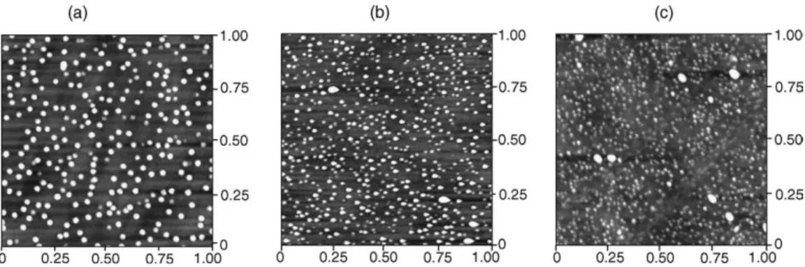 Fig. 2. The AFM pictures of the samples. The scanned area is 1 lm · 1 lm.