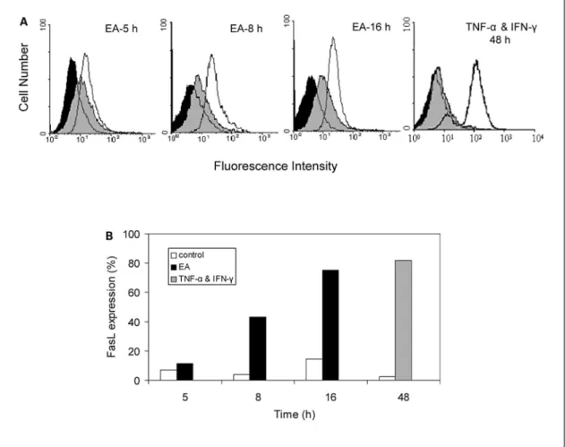 Fig. 4.  EA  fraction  of  A.  formosanus  induces  FasL  expression  in MCF-7 cells. MCF-7 cells were untreated (isotype control) or treated with 1 mg/ml EA extract or 0.4% DMSO (vehicle control), for 5, 8, or 16 h
