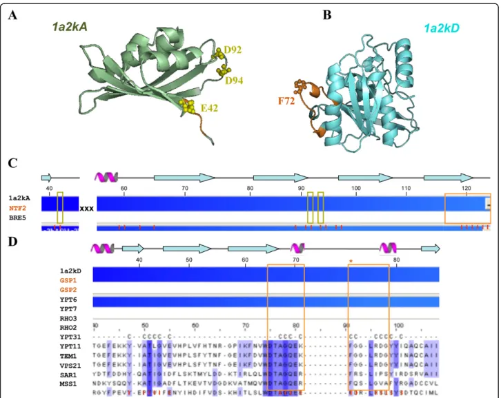 Figure 5 The 3D-structure of 1a2kAD and multiple sequence alignment results of the 14 candidates to their corresponding template proteins of 1a2kAD