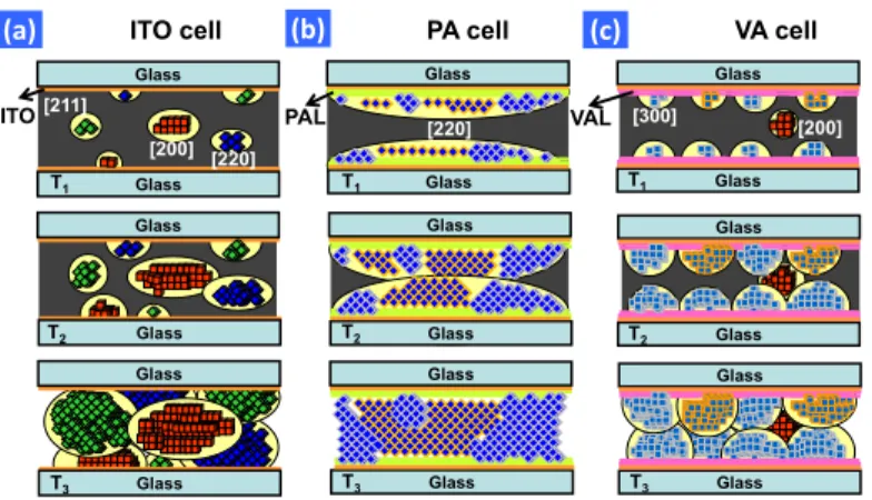 Fig. 4. Possible mechanisms of crystal growth of BPLCs with different surface treatment
