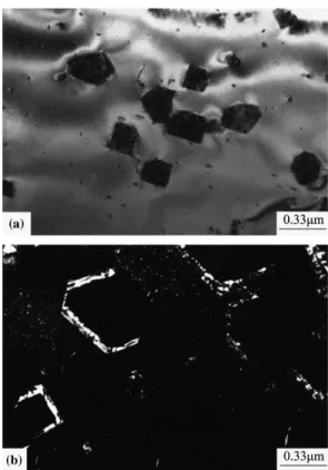 Fig. 6. Electron micrographs of the 10Cr alloy aged at 550 C: (a) BF, after 2 h and (b) (1 1 1)DO 3 DF, after 24 h.