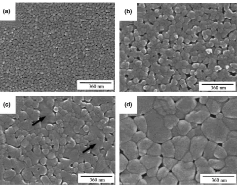 FIG. 7. Dependence of grain size of SG- and MOD-TiO 2 films on