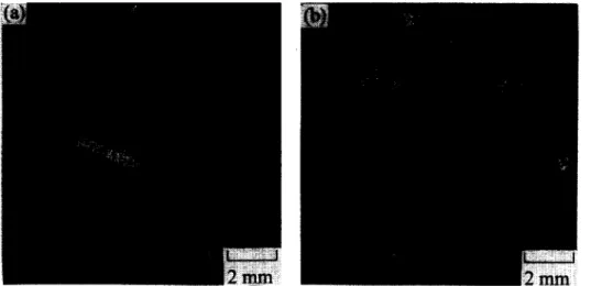 Figure  3.  Carbide  morphology  and  distribution  of  Mar-M247  superalloy  (a)  without,  (b)  with  20  ppm  and  (c)  with  80  ppm  Mg  addition