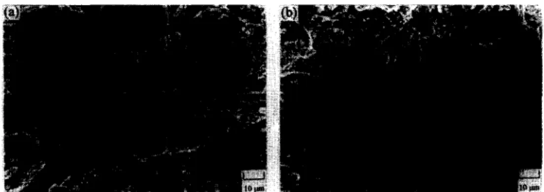 Figure  6.  Fractographic  observation  of  (a)  without  Mg  and  (b)  with  Mg  in  Mar-M247  after  creep  testing  of  76O”C/735  MPa