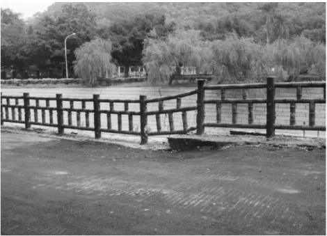 Fig. 6. Rupture-B near the Chung-Cheng park. Rupture-B lies between the main rupture and rupture-A