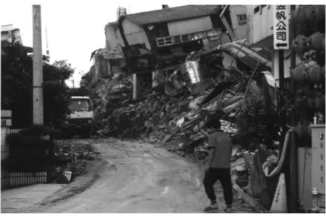 Fig. 1 shows the topography and surface ruptures