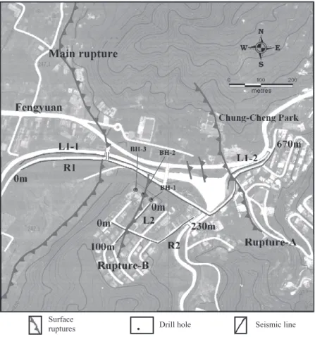 Fig. 12. Location of seismic prospecting lines and drill boreholes.