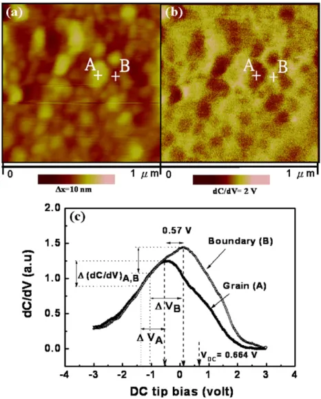 Fig. 2. AFM topography (a) and SCM differential capacitance (dC/dV) image (b) acquired at V tip ¼ 0.664 V in ZnO ﬁlm